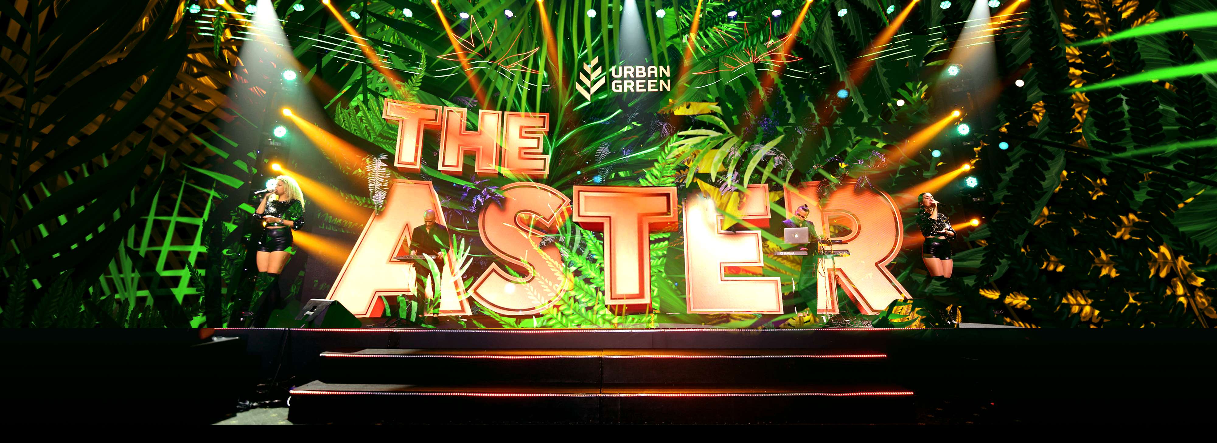 Thumbnail of The aster
